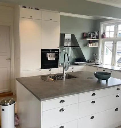 公寓 Sentrumsnaer Til Utleie Under Ons *