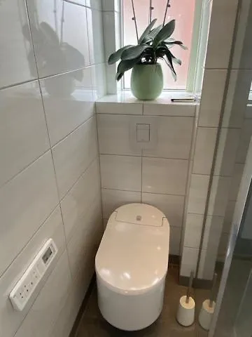 Sentrumsnaer Til Utleie Under Ons Lejlighed