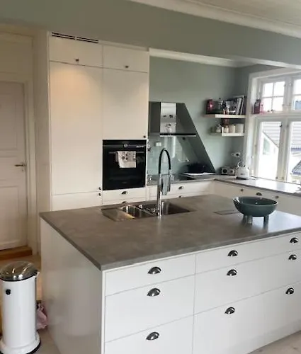 公寓 Sentrumsnaer Til Utleie Under Ons *